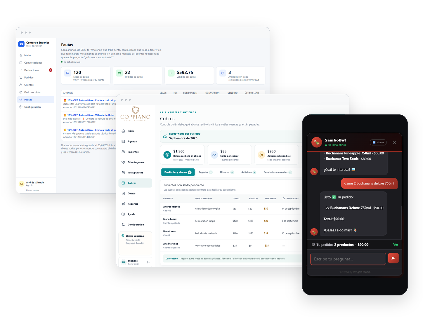 Systems built by Vengala Studio: an ad and order dashboard, a dental clinic payments dashboard and a sales assistant chat